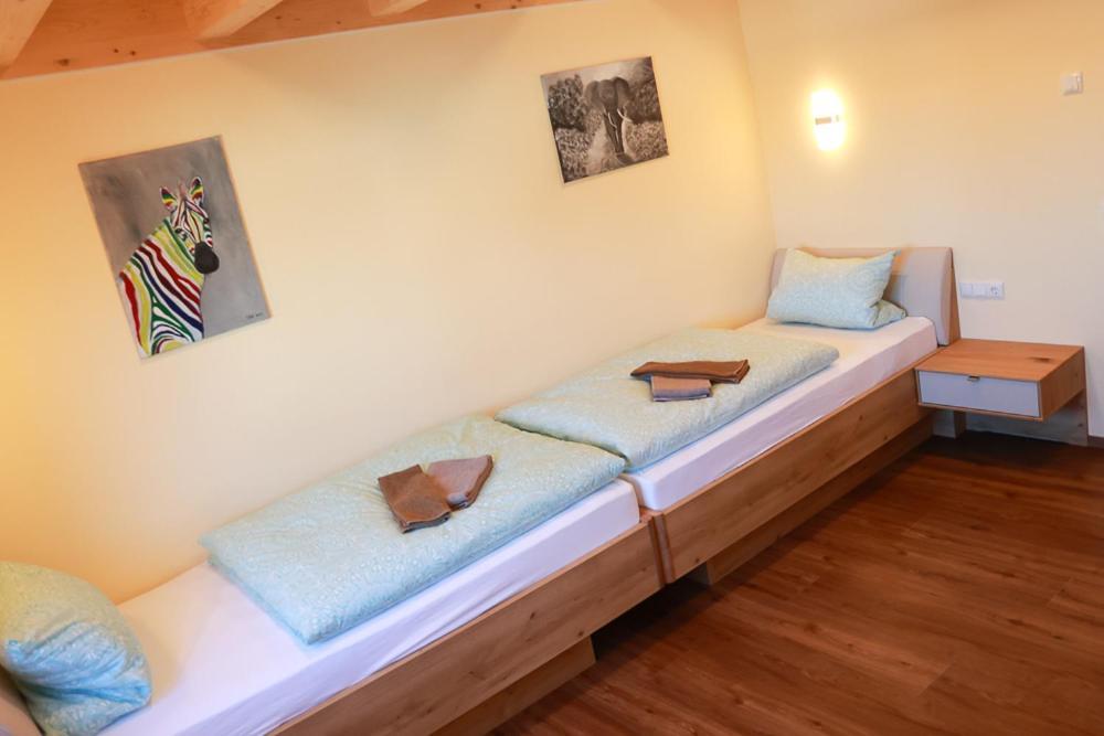Apartament Aigner Ferientraum Kirchberg  Zewnętrze zdjęcie